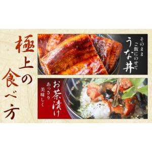 ふるさと納税 うなぎ 福岡県 宗像市 うなぎ蒲...の詳細画像4