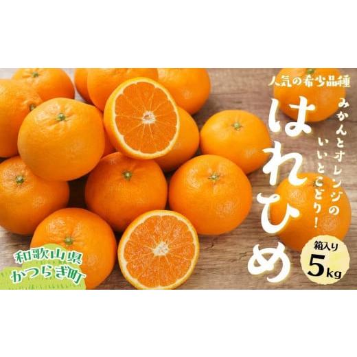 ふるさと納税 果物類 みかん 和歌山県 和歌山市 はれひめ（ミカンの希少種） 秀品 約5ｋｇ（25個...