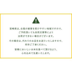 ふるさと納税 無洗米 宮崎県 高鍋町 学校給食...の詳細画像4