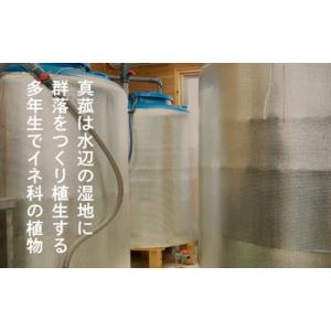ふるさと納税 健康食品 山梨県 西桂町 定期便...の詳細画像5