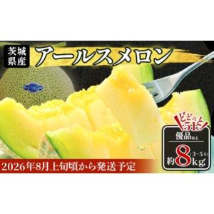 ふるさと納税 メロン メロン青肉 茨城県 茨城町 490 アールスメロン 3〜5玉 約8kg 優品以上 高級 茨城 JA水戸産