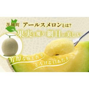 ふるさと納税 メロン メロン青肉 茨城県 茨城...の詳細画像3