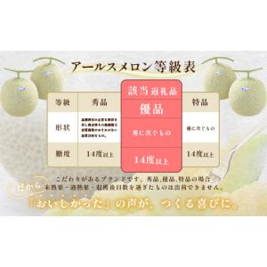 ふるさと納税 メロン メロン青肉 茨城県 茨城...の詳細画像4