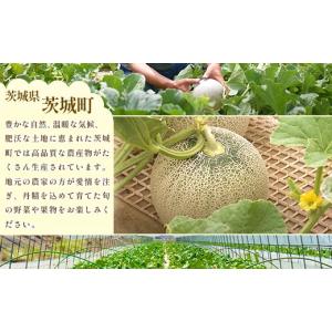 ふるさと納税 メロン メロン青肉 茨城県 茨城...の詳細画像5