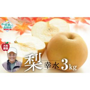 ふるさと納税 梨 岩手県 陸前高田市 先行予約 2026年９月頃から発送　梨 （幸水） 約 3kg RT2518