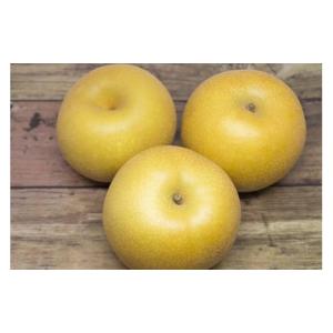 ふるさと納税 梨 岩手県 陸前高田市 先行予約...の詳細画像2