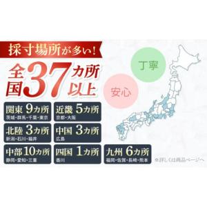 ふるさと納税 服 男 長崎県 西海市 スーツ ...の詳細画像2