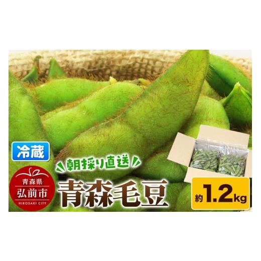 ふるさと納税 豆類 枝豆 青森県 弘前市  26年9月下旬〜発送 朝採り直送 令和8年度 青森毛豆 ...