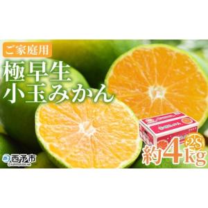 ふるさと納税 果物類 みかん 愛媛県 西予市  極早生小玉みかん ご家庭用 約4kg ご家庭用 果物 フルーツ みかん ミカン 蜜柑 オレンジ 柑橘 食べて応援 特産品 …