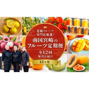 ふるさと納税 マンゴー 宮崎県 宮崎市 南国宮崎のフルーツ12ヶ月定期便 果物定期便 定期便 定期 旬のフルーツ 旬の果物 果物 フルーツ 旬 厳選 いちご 苺 きん…
