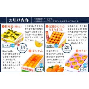 ふるさと納税 マンゴー 宮崎県 宮崎市 南国宮...の詳細画像3