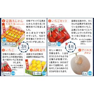 ふるさと納税 マンゴー 宮崎県 宮崎市 南国宮...の詳細画像4