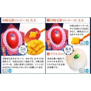 ふるさと納税 マンゴー 宮崎県 宮崎市 南国宮...の詳細画像5