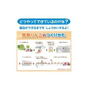 ふるさと納税 果汁飲料 京都府 京田辺市 りん...の詳細画像3