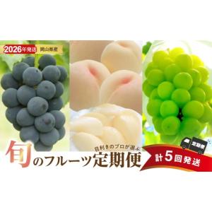 ふるさと納税 ぶどう マスカット 岡山県 備前市 2026年発送分 先行受付スタート 定期便 岡山県産 白桃 約4kg・ぶどう 約5kg 計５回発送 ニューピオーネ シャ…