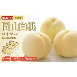 ふるさと納税 もも 岡山県 備前市 2026年発送分 先行受付スタート 定期便 岡山県産 白桃 最高ランク 「ロイヤル」約4kg×3回発送 白桃ロイヤル フルーツ 果物…