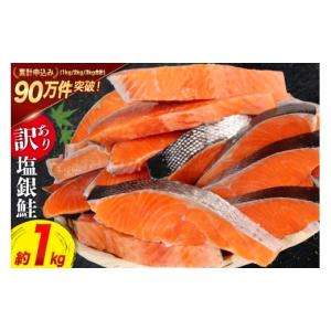 ふるさと納税 魚貝類 鮭 宮城県 気仙沼市 訳あり 銀鮭 切身 約1kg お試し満足容量 脂乗り 鮭 海鮮 規格外 不揃い さけ サケ 鮭切身 シャケ 切り身 冷凍 家庭用…
