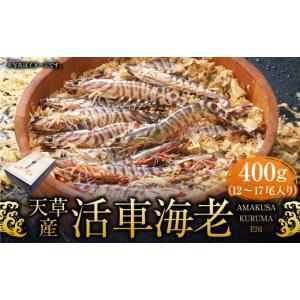 ふるさと納税 エビ 車エビ 熊本県 上天草市  配送日指定品 「極」原点の車海老 900g （22〜25尾） 特大サイズ 活き車海老 生えび 海老 エビ えび 車エビ 車海… ふるさと納税 エビ 車エビ 熊本県 天草市 年内配送可 活き車海老「やまと車海老」1kg_S010-008 1kg 活きたままお届け!】熊本天草の 活き車海老 600g(17～22尾) | 熊本県上天草市 | ふるさと納税サイト「さとふる」