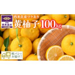 ふるさと納税 みかん・柑橘類 ゆず 宮崎県 西米良村 訳あり 黄柚子 100kg　(九州管内軽バンでお届けします 沖縄県を除く) かんきつ　柑橘　ユズ　ゆず有機栽…