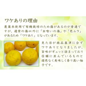 ふるさと納税 みかん・柑橘類 ゆず 宮崎県 西...の詳細画像2