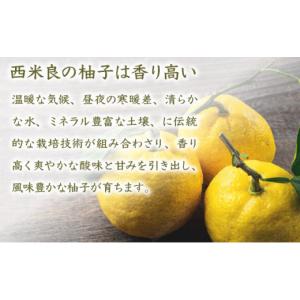 ふるさと納税 みかん・柑橘類 ゆず 宮崎県 西...の詳細画像3