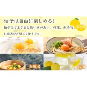 ふるさと納税 みかん・柑橘類 ゆず 宮崎県 西...の詳細画像4