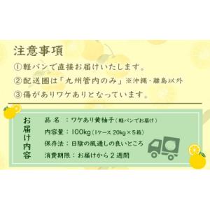 ふるさと納税 みかん・柑橘類 ゆず 宮崎県 西...の詳細画像5