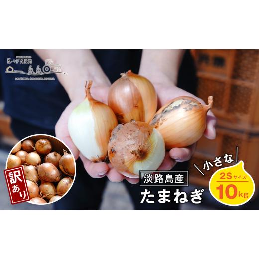 ふるさと納税 野菜類 玉ねぎ 兵庫県 淡路市  訳あり 小さな淡路島たまねぎ 2Sサイズ 10kg