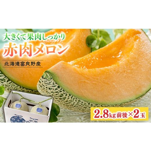 ふるさと納税 メロン メロン赤肉 北海道 富良野市  2026年発送 北海道富良野産 赤肉メロン 大...