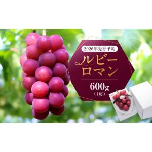 ふるさと納税 【先行予約】島根県限定！幻のぶどう“神紅(しんく)” 糖度