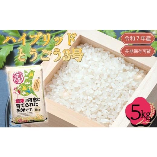 ふるさと納税 米 茨城県 坂東市 「令和7年産米」ハイブリッドとうごう3号　5kg 長期保存可能 ／...