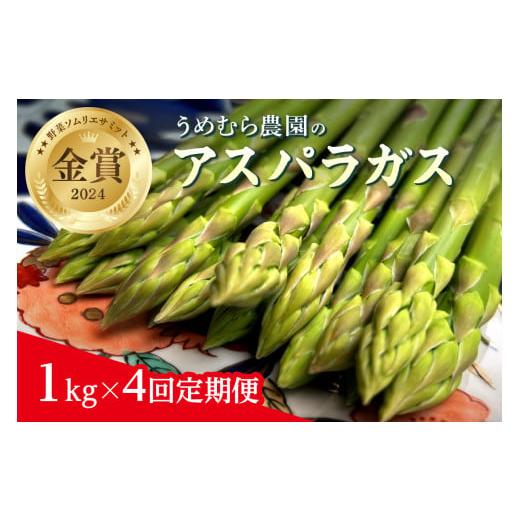 ふるさと納税 野菜類 アスパラガス 佐賀県 伊万里市  先行受付　令和8年3月より順次発送 野菜ソム...