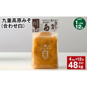 ふるさと納税 味噌 白味噌 大分県 九重町 1...の詳細画像1