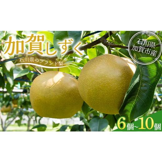 ふるさと納税 梨 石川県 加賀市  先行予約 梨 加賀しずく 1箱（6個〜10個）石川県加賀市産（2...