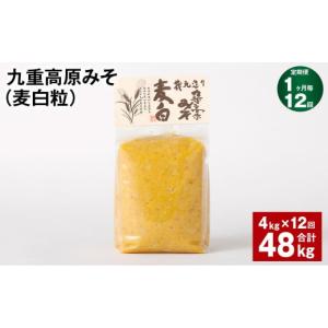 ふるさと納税 味噌 麦味噌 大分県 九重町 1ヶ月毎12回定期 九重高原みそ （麦白粒） 1kgx4袋 計48kg （4kgx12回） 麦みそ 味噌 白色系