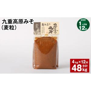 ふるさと納税 味噌 麦味噌 大分県 九重町 1ヶ月毎12回定期 九重高原みそ（麦粒） 1kgx4袋 計48kg （4kgx12回） 麦みそ 味噌 赤色系甘口