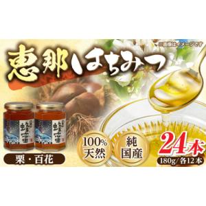 ふるさと納税 加工品等 はちみつ 岐阜県 恵那市 恵那蜂蜜 24本セット (百花蜂蜜180g×12本、栗蜂蜜180g×12本) ／ はちみつ 国産 百花蜂蜜 栗蜂蜜 蜂蜜 ハチミ…