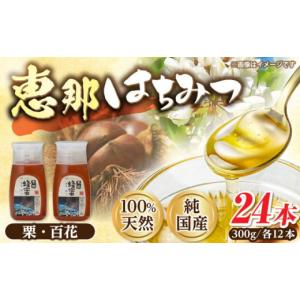 ふるさと納税 加工品等 はちみつ 岐阜県 恵那市 恵那蜂蜜 24本セット (百花蜂蜜300g×12本、栗蜂蜜300g×12本) ／ はちみつ 国産 百花蜂蜜 栗蜂蜜 蜂蜜 ハチミ…