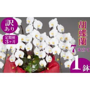 ふるさと納税 雑貨・日用品 花 高知県 須崎市 ...の商品画像