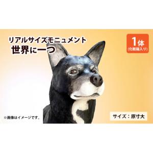 ふるさと納税 雑貨・日用品 福島県 郡山市 リ...の詳細画像1