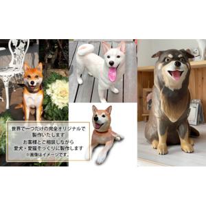 ふるさと納税 雑貨・日用品 福島県 郡山市 リ...の詳細画像3