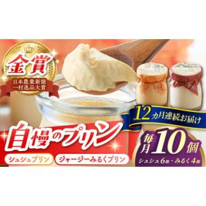 ふるさと納税 菓子 プリン 長崎県 大村市 12回定期便 シュシュプリンとジャージーみるくプリンセット 10個／月（計120個）／ プリン スイーツ ミルク ジャー…
