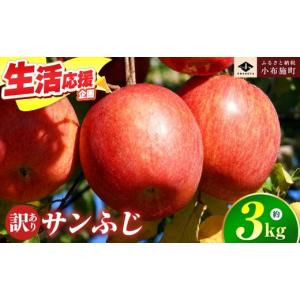 ふるさと納税 りんご 長野県 小布施町 訳あり 先行受付 サンふじ 約3kg 6〜12玉 ［小布施屋］｜ りんご 林檎 リンゴ 不揃い 規格外 果物 フルーツ 生産者応援…