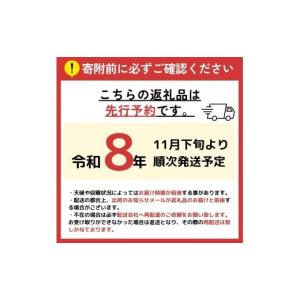 ふるさと納税 りんご 長野県 小布施町 訳あり...の詳細画像2
