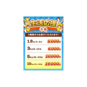ふるさと納税 りんご 長野県 小布施町 訳あり...の詳細画像3