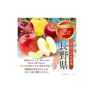 ふるさと納税 りんご 長野県 小布施町 訳あり...の詳細画像4