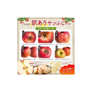 ふるさと納税 りんご 長野県 小布施町 訳あり...の詳細画像5