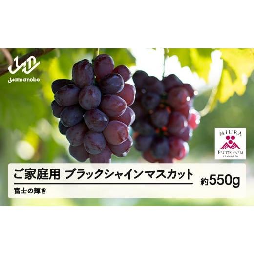ふるさと納税 ぶどう マスカット 山形県 山辺町 《先行予約》2026年 山形県山辺町産 ご家庭用　...