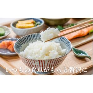 ふるさと納税 米 愛媛県 愛南町 令和7年産 ...の詳細画像4