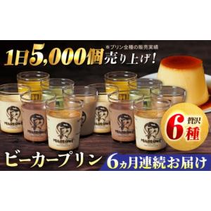 ふるさと納税 菓子 プリン 神奈川県 横須賀市 全6回定期便 葉山ビーカープリン パーティーアソート セット 6種×2個 詰め合わせ（カスタード・かぼちゃ・抹茶…